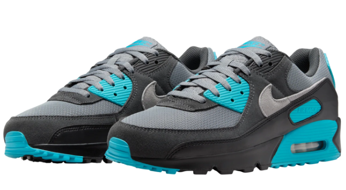 Nike Air Max 90 Cool Grey Dusty Cactus Black | Cactus Current