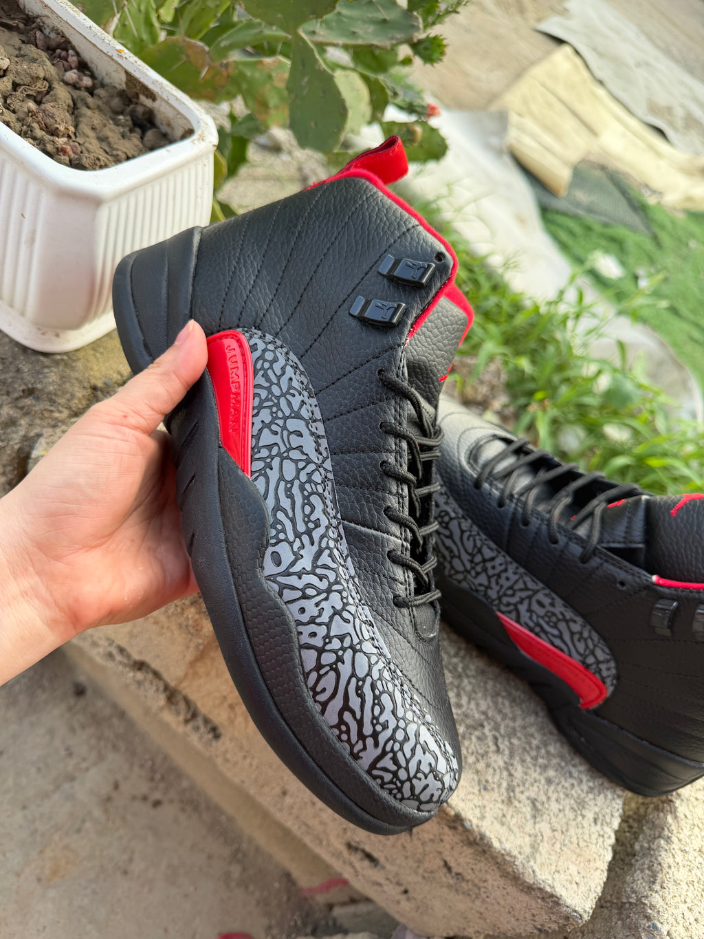 Air Jordan 12 | Daily Formation Sneakers